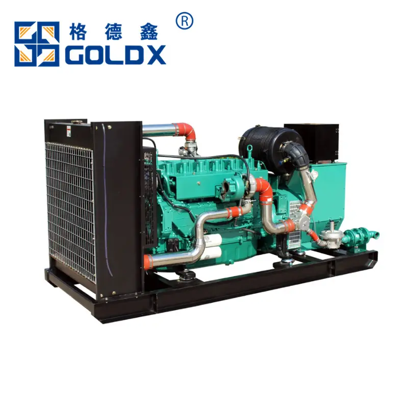 Gas Generator Set